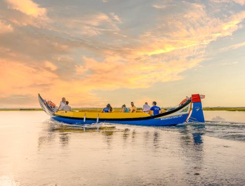 Moliceiro Aveiro